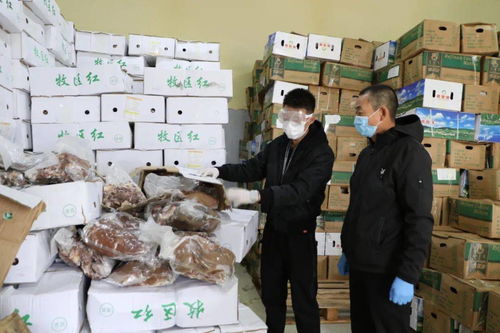 二连浩特市市场监管局加大进口冷链食品监管防范疫情输入风险